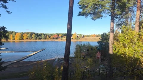 Elevated View Through Pine Trees Overlooking Wide Blue River Stock Footage 348290906