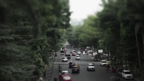 Elevated view of tree lined street with traffic Stock-Footage 345860569