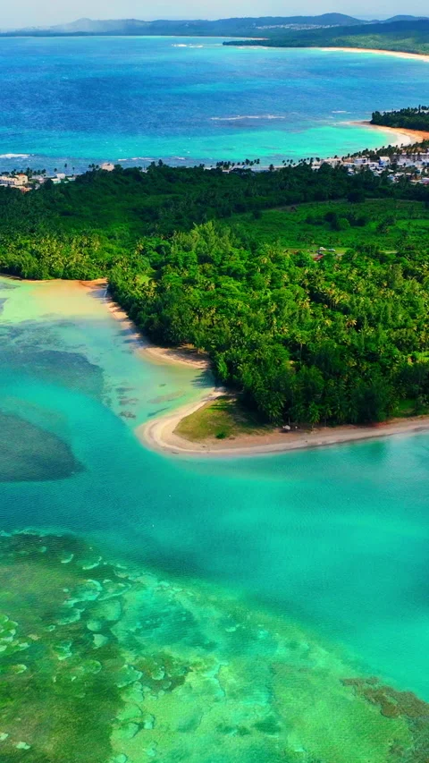Elevated view of turquoise shallows and palm peninsula, Puerto Rico Vertical Stock Footage 345928031