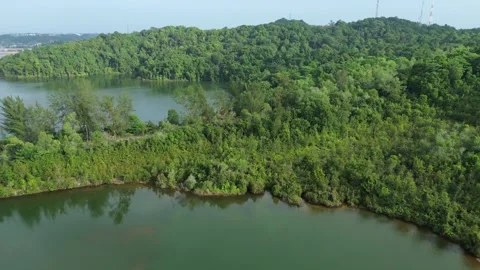 Elevated view of a verdant coastal inlet, a serene tropical waterscape fram.. Video stock 326185325