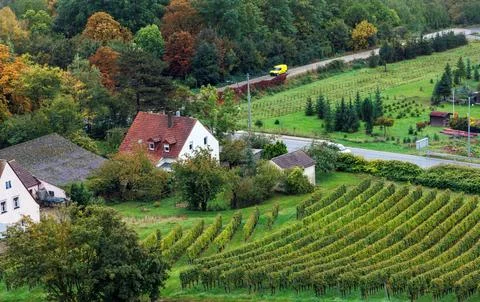 Elevated view of vineyard rows and traditional houses surrounded by colorfu.. Stock Photos