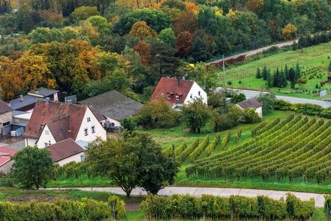 Elevated view of vineyard rows and traditional houses surrounded by colorfu.. Stock Photos