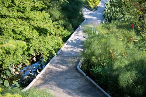 Elevated view of winding park path with dense vegetation Bangkok Stock Photos