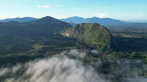 Elevated viewpoint of dreamlike white-cloud-covered plantation 스톡 동영상 261988464
