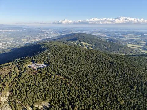 Elevated Viewpoint Surrounded By Evergreen Trees With Trails And Wildlife Foto stock