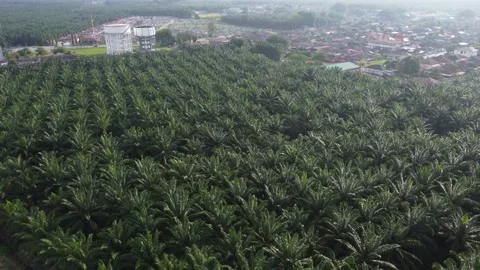 Elevated water storage Vídeos de archivo 194208638