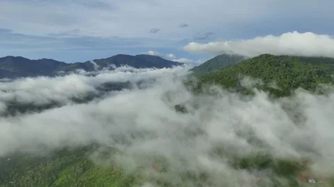 Elevated Wonder: Captivating 4K Aerial Views of Jungle's Mountain Clouds Stock Footage 244474800