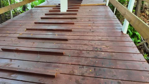 Elevated Wooden Walkway Under Construction Surrounded by Green Foliage Stock Footage 335079632