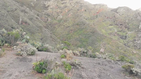 Elevating aerial view of Anaga Mountains at sunset in Tenerife, Canary Islands Stock-Footage 109240159