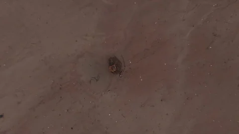 Elevating aerial view of sand desert on beach with nobody Stock Footage 116185307