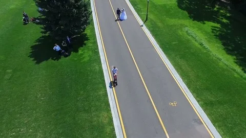 Elevation of pine. Horizon behind pine Stock Footage 124789616