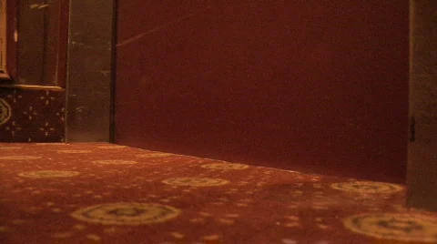 Elevator Door Opening 스톡 동영상 239911