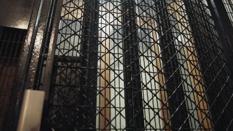 Elevator doors closing in montage Stock Footage 307601915