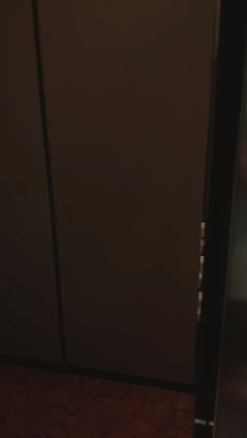 Elevator Doors Open and Close From Inside Stock Footage 346277454