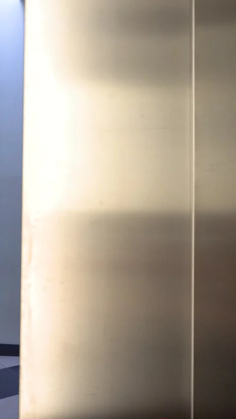 Elevator doors opening and closing from inside a modern lift Stock Footage 345589501