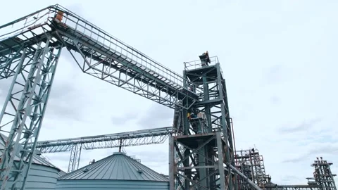 Elevator - grain processing complex for compound feeds Vidéo 164587594