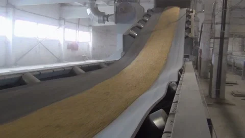 At the elevator the grain is transported on a conveyor belt 스톡 동영상 138087359