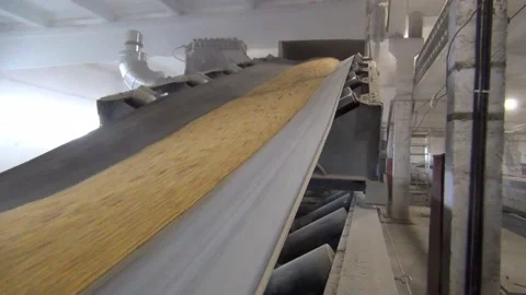 At the elevator the grain is transported on a conveyor belt 스톡 동영상 138087472