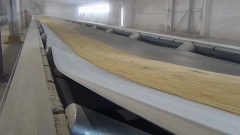 At the elevator the grain is transported on a conveyor belt 스톡 동영상 138087502