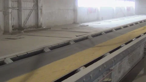 At the elevator the grain is transported on a conveyor belt 스톡 동영상 138087616