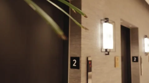 Elevator Landing with Second Floor Signage and Tropical Plants Stock Footage 333817462