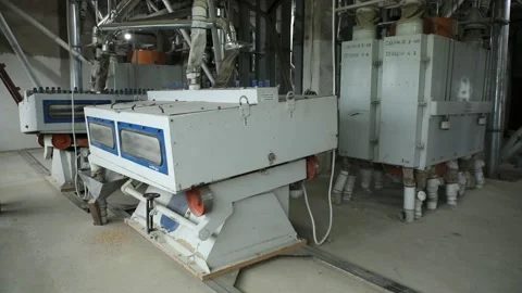 Elevator sifting grain. Cleaning grain elevator. Vibrating device for cleaning Stock Footage 170829557