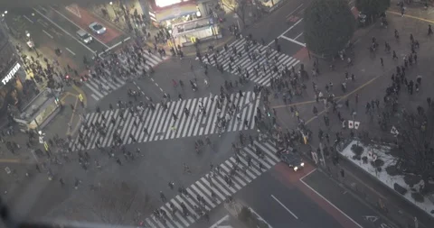 Elevator view of Shibuya Crossing Stock Footage 87138556