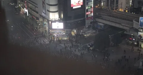 Elevator view of Shibuya Crossing Stock Footage 87138608