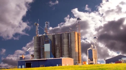 Elevators of twelve grain storages Stock Footage 81915629