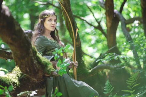 Elf archer with a bow in the forest Stock Photos