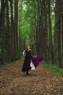 Elf maiden Stock Photos