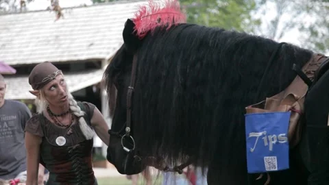 Elf Performer Talking to a Horse at Renaissance Faire Stock Footage 345279550