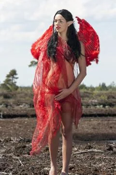 Elf with red wings Stock Photos