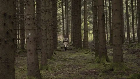 Elf walks through the forest 動画素材 154555295