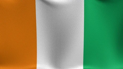 Elfenbeinkueste Stock-Footage 89124700