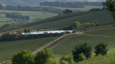 Elgin Valley, Apple Orchards, Pond, Farmlands Video stock 69247402