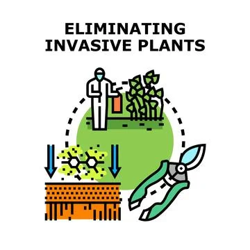 Eliminating invasive plants process vector illustration Stock Illustration
