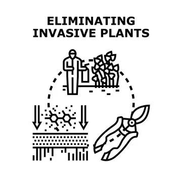 Eliminating invasive plants process vector illustration Stock Illustration