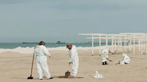 Elimination of the consequences of the oil spill on the beach. Volunteers in Stock Footage 339653468