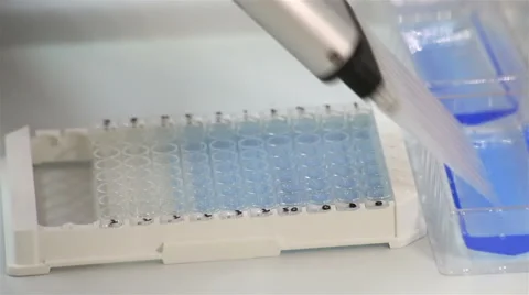 ELISA antibody selection Stock Footage 60736457