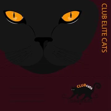 Elite cats Stock Illustration