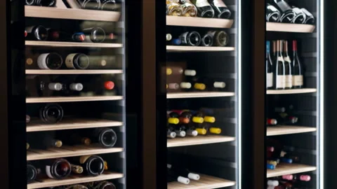 Elite collection of red and white wine bottles on wooden shelves under cooling Stock Footage 344753510