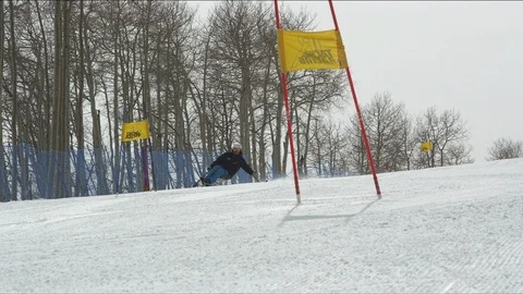 Elite monoskier cruising down giant slalom race course Stock Footage 113199565