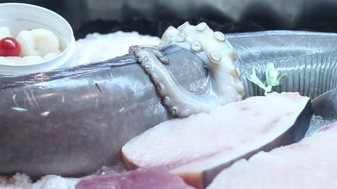 Elite seafood on display Stock Footage 73425708