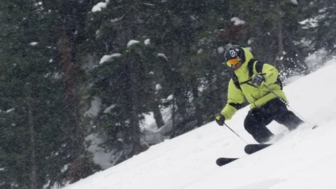 Elite skier cutting through fresh powder on woodsy slope in a snow storm Stock Footage 113231852