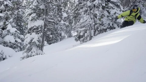 Elite skier cutting through fresh powder on woodsy slope Stock Footage 113232791