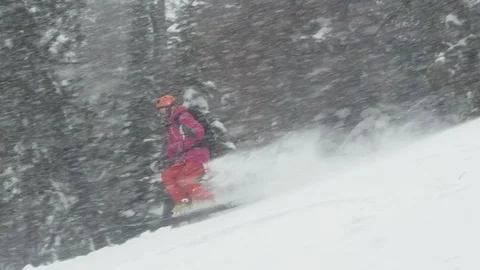 Elite skier cutting through fresh powder on a woodsy slope during a snow storm Stock Footage 113233004