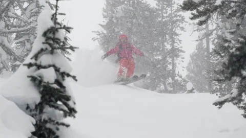 Elite skier cutting through fresh powder on a woodsy slope during a snow storm Stock Footage 113233090