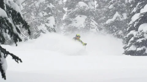 Elite skier cutting through fresh powder on a woodsy slope during a snow storm Stock Footage 113233127