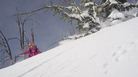 Elite skier cutting through fresh powder Stock Footage 113233381